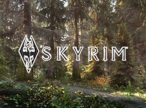 Skyrim : Les 5 meilleurs mods VR